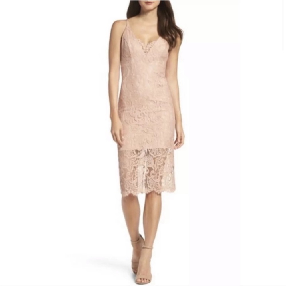 Bardot Gia Midi Blush Pink Whimsical Lace Pencil Dress New With Tag